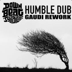 Album cover · GAUDI · DOWNBEAT SYNDICATE