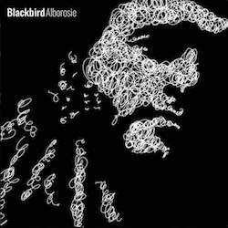 Copertina · Blackbird